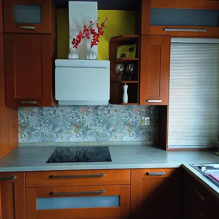 Vivaldiego Apartmán Vratislav